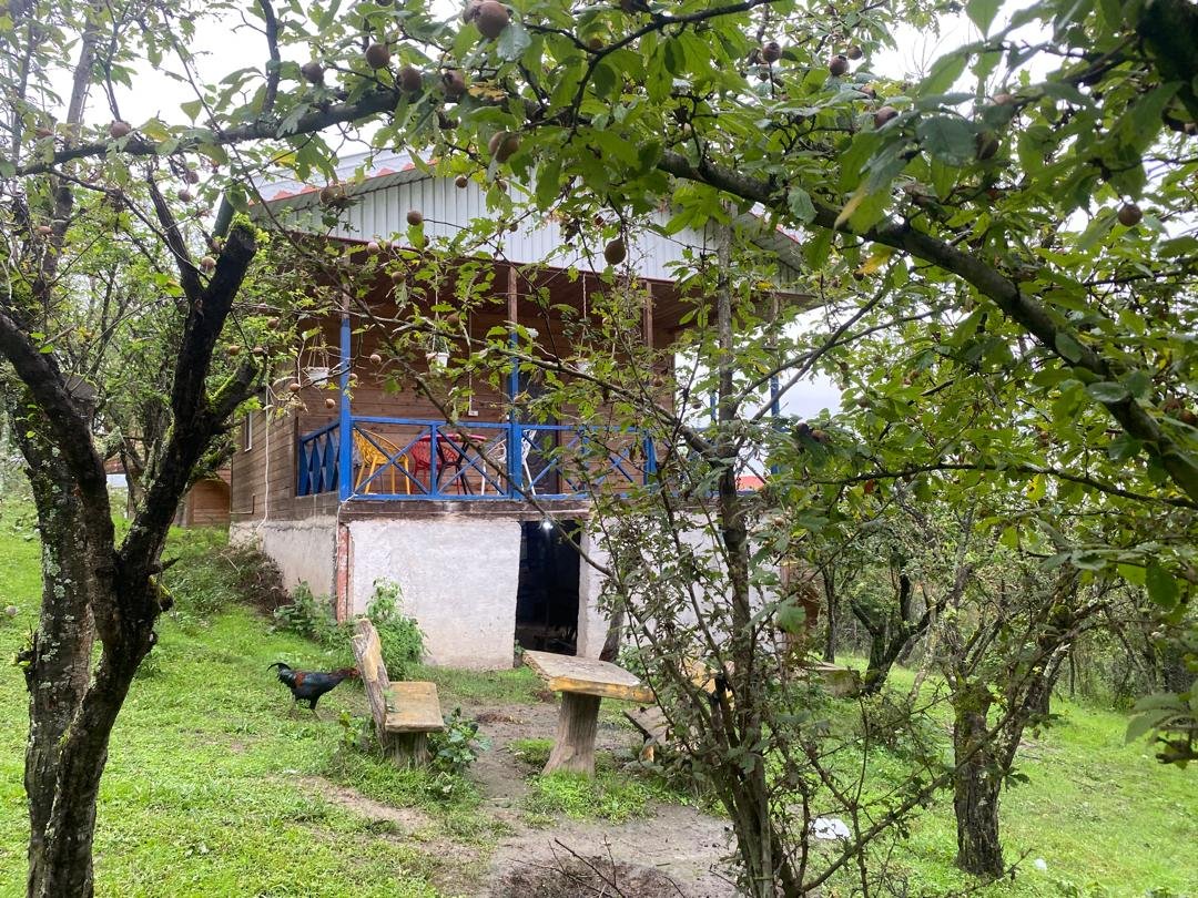 یک خوابه چوبی شریفی 3