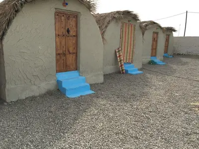 بومگردی تیاب مکران - واحد 5