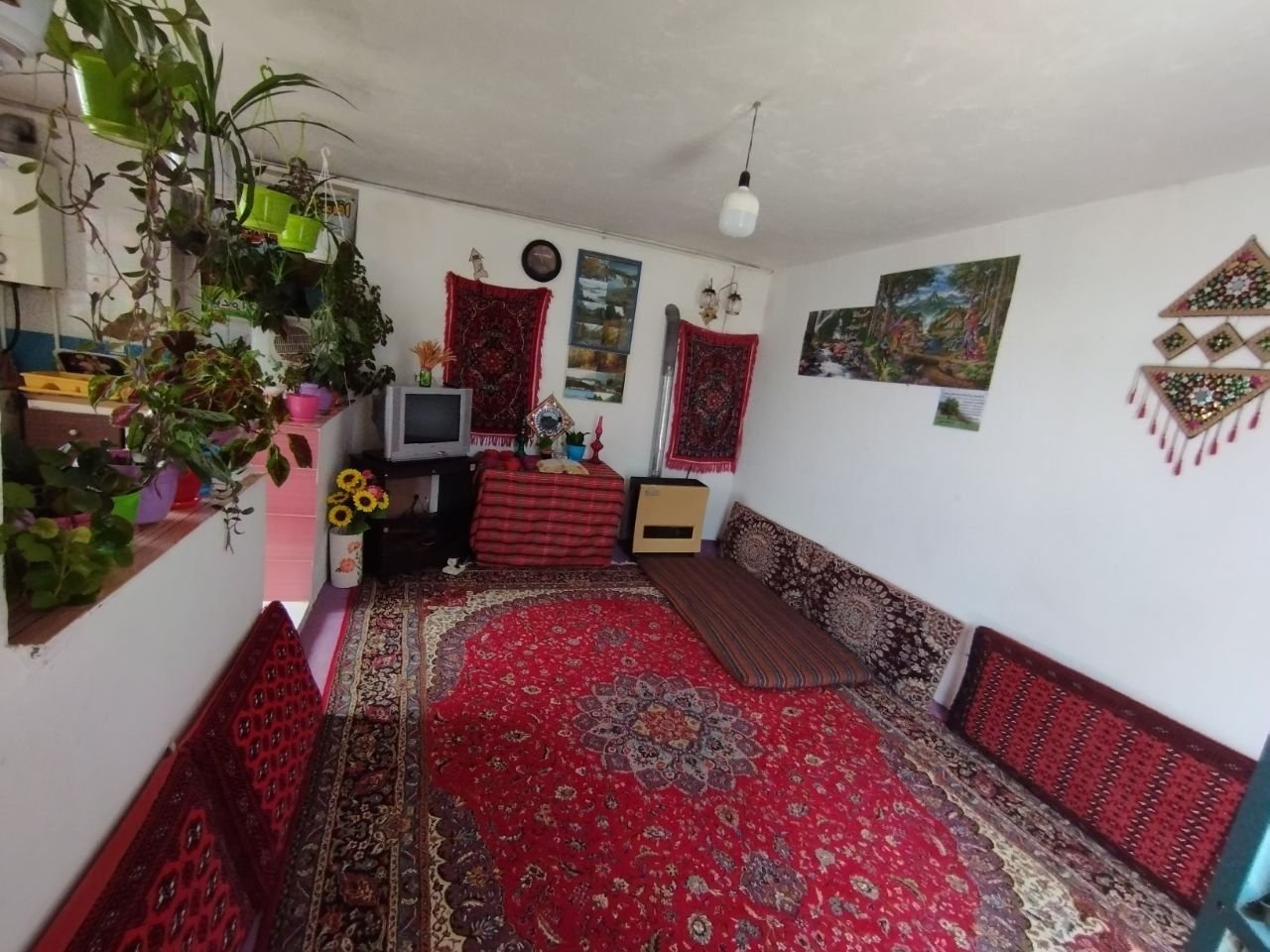 یک خوابه زولان جنگل ابر