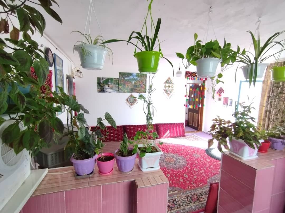 یک خوابه زولان جنگل ابر - نمایی از حال پذیرایی 