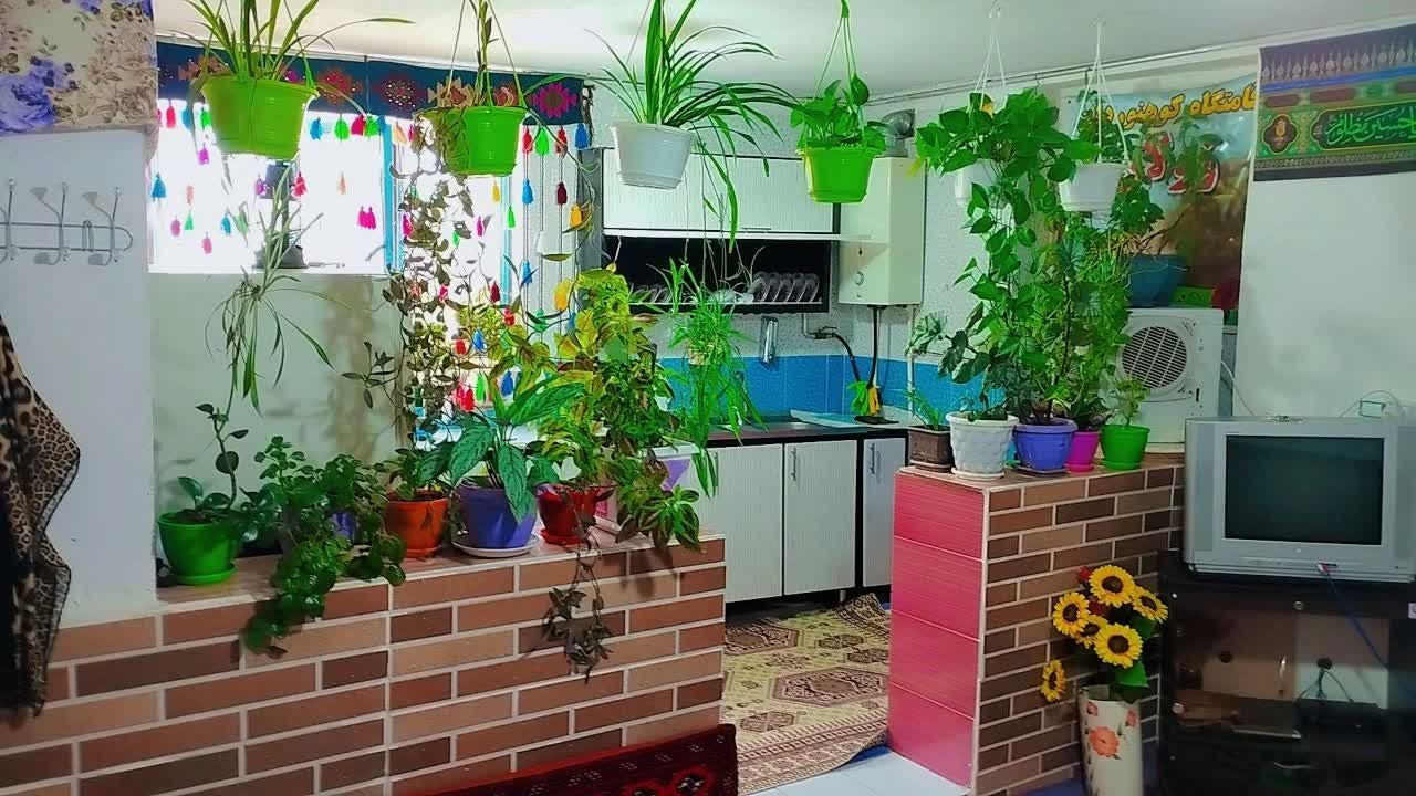 یک خوابه زولان جنگل ابر