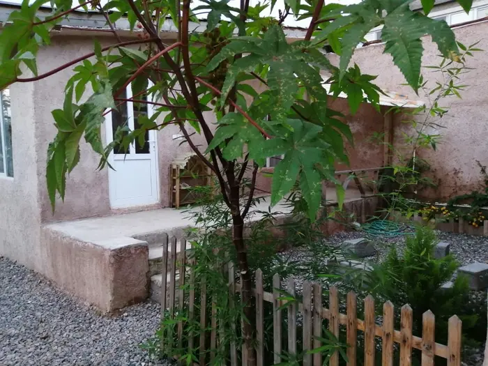 سوئیت گیله وا - واحد یک خوابه گیلدا حلیمه جان