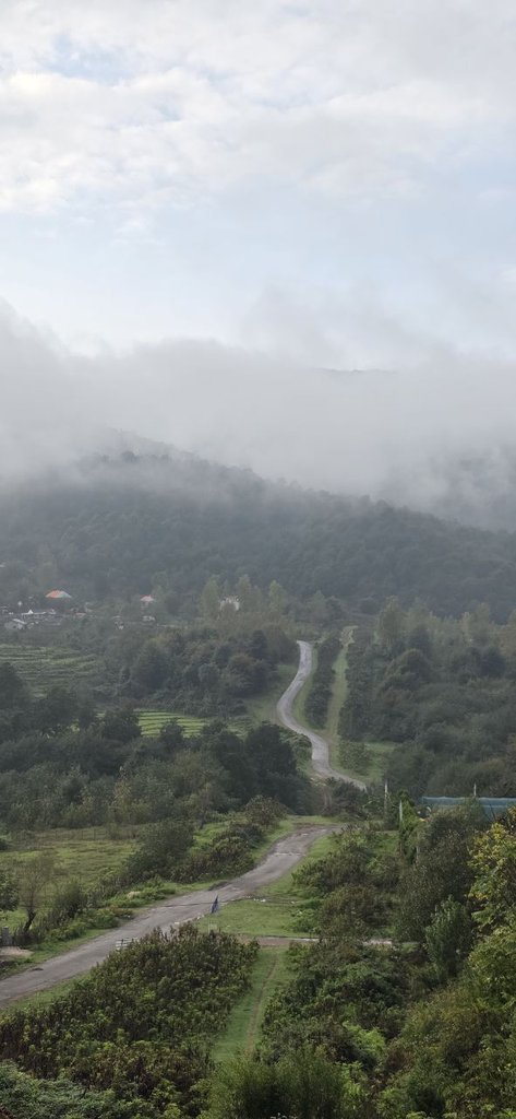 سوئیت گیله وا - واحد یک خوابه گیلانا حلیمه جان