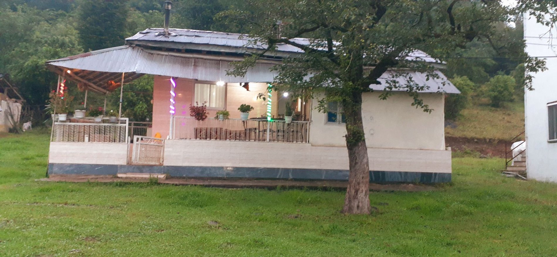 دوخوابه جنگلی مرکیه 2