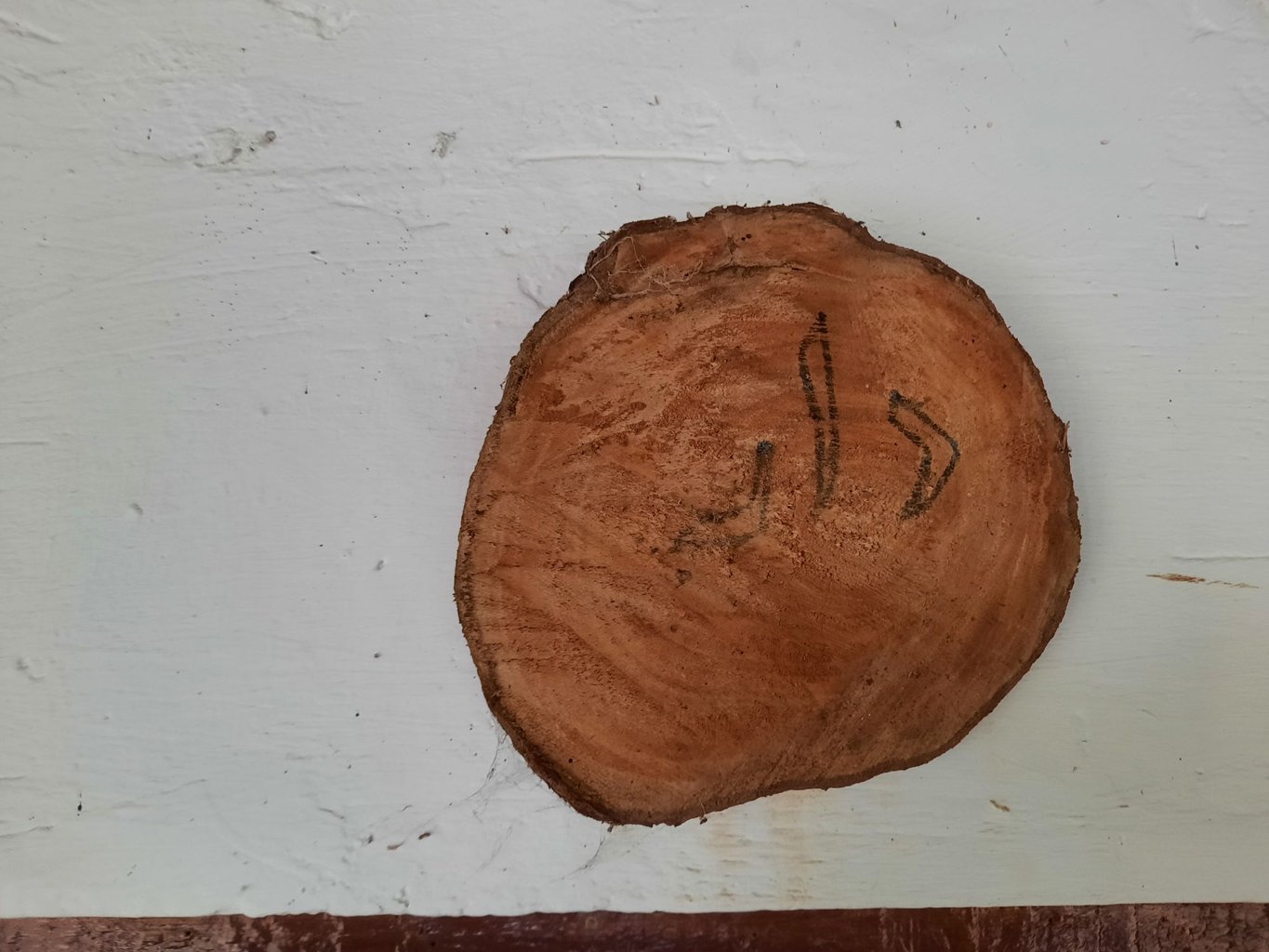 فلت چوبی چیچینی