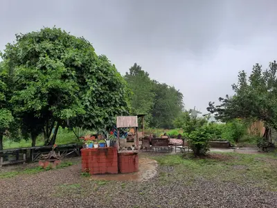 کلبه فلت جنگلی خمسک