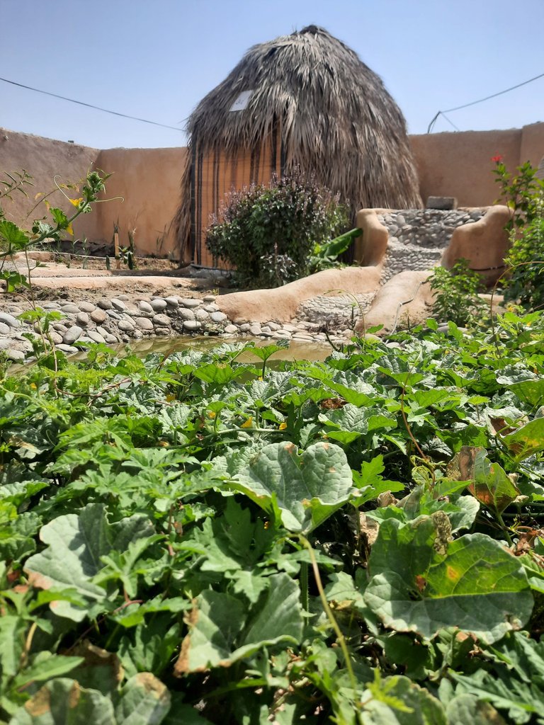 اقامتگاه سنتی ترانگ - واحد ماهکان