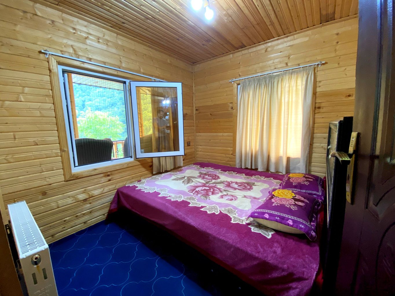 دوخوابه جنگلی اسب ریسه