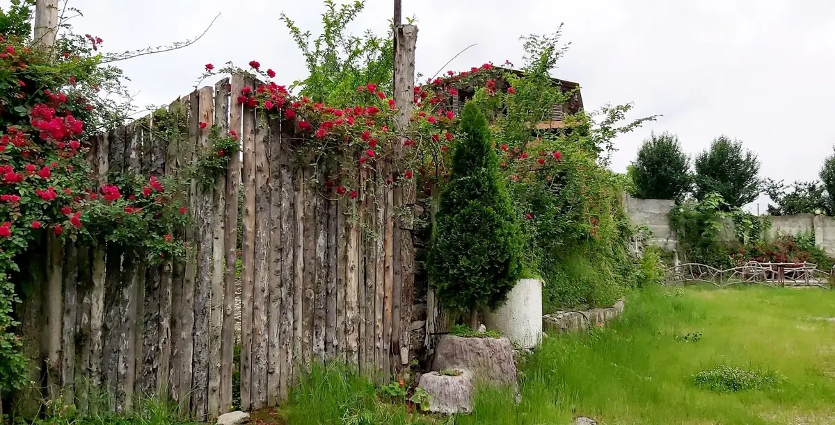 سوئیت فلت دهکده ۱ - فضای سبز