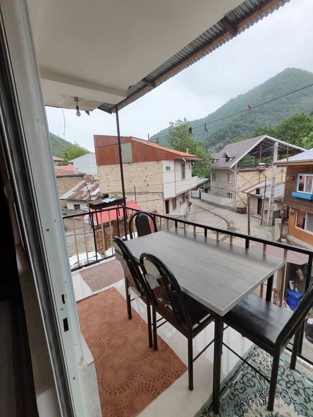 فلت جنگلی کورش