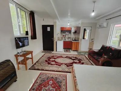 سوئیت فلت جنگلی کورش