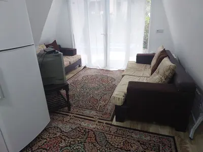 کلبه دوخوابه سوئیسی برکه