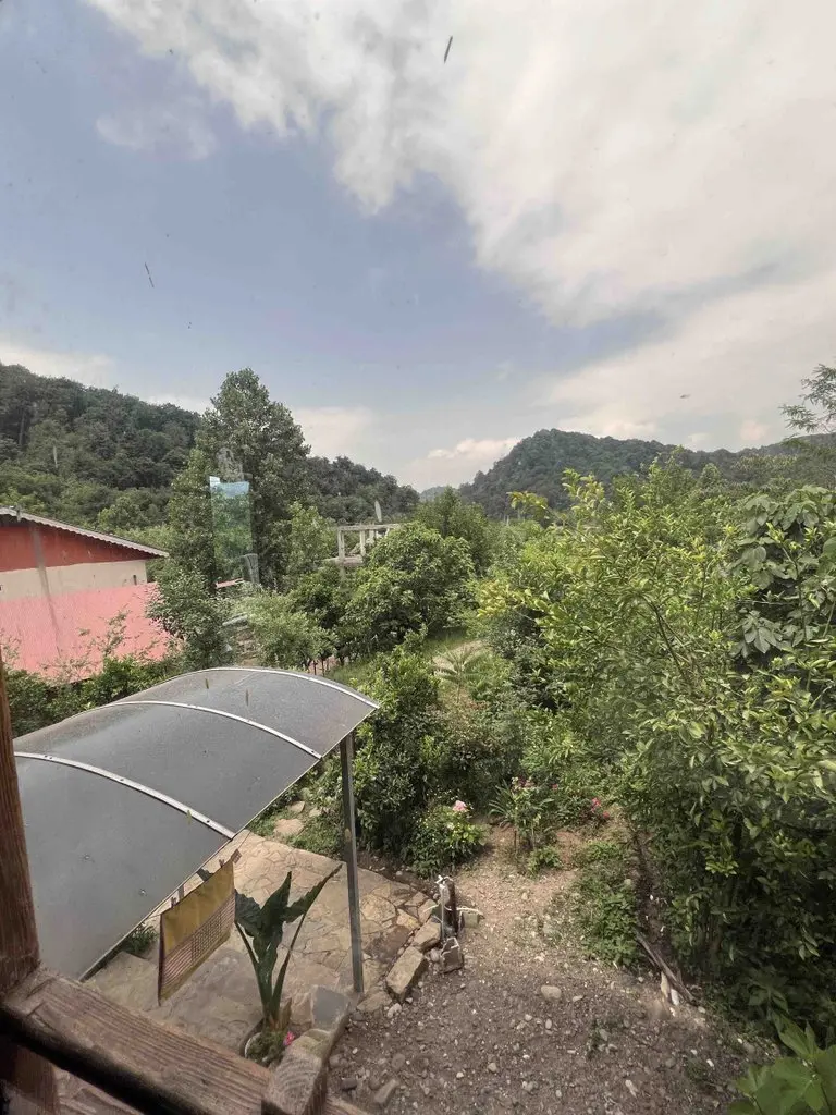 کلبه یک خوابه جنگلی میش بیجار - انتخاب عنوان تصویر