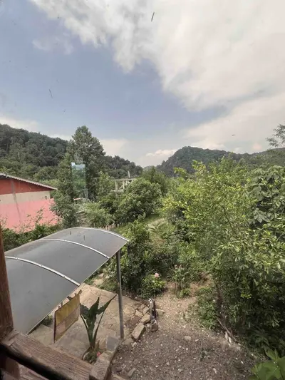 کلبه یک خوابه جنگلی میش بیجار