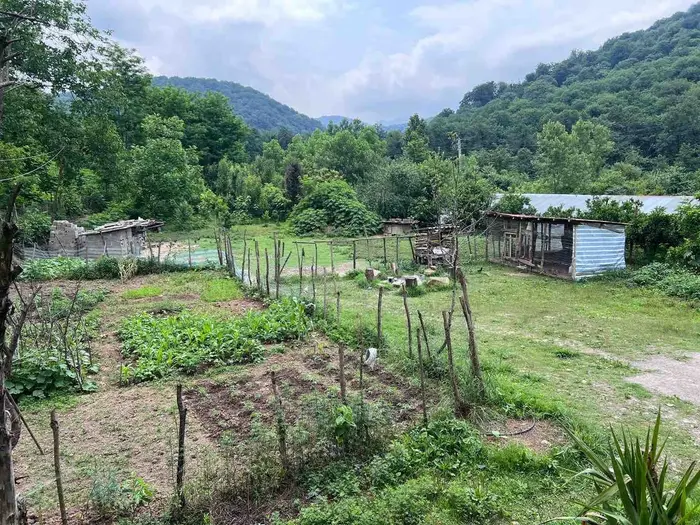 کلبه یک خوابه جنگلی میش بیجار - انتخاب عنوان تصویر