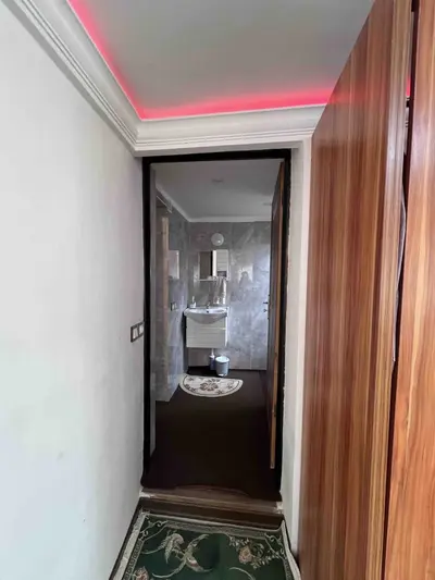 کلبه یک خوابه جنگلی میش بیجار