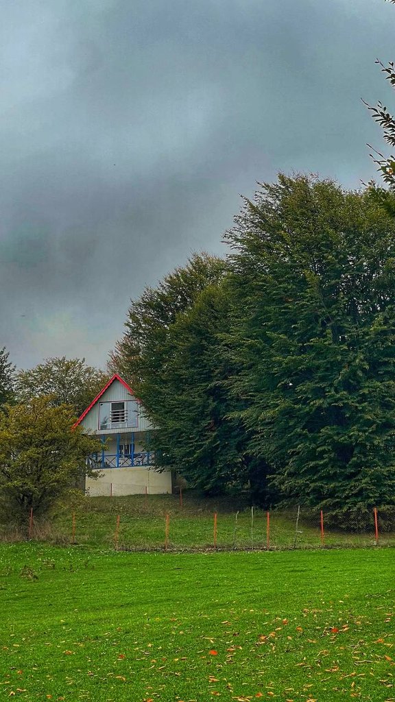 کلبه یک خوابه جنگلی فرهاد