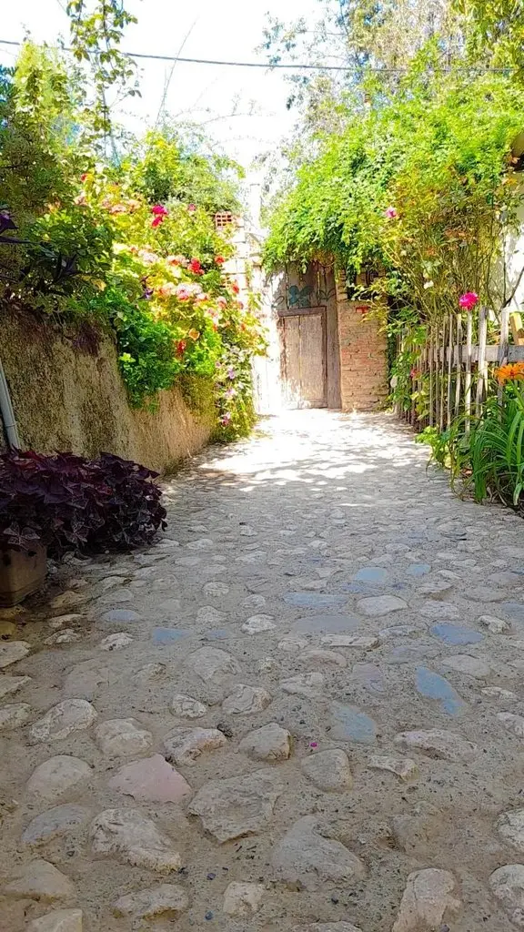 یلدا بانو - یلدا بانو۳