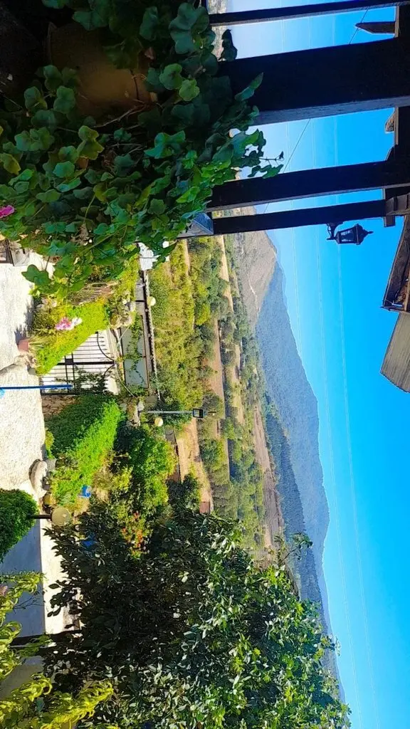 یلدا بانو - یلدا بانو۳