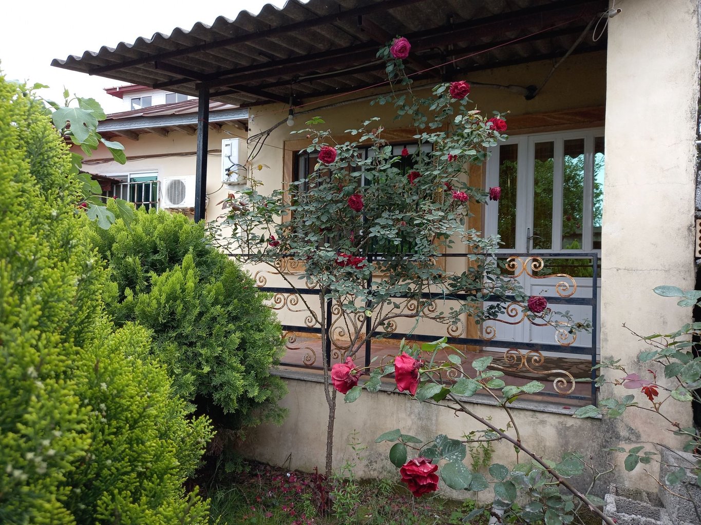 یک خوابه ساحلی دریاکنار