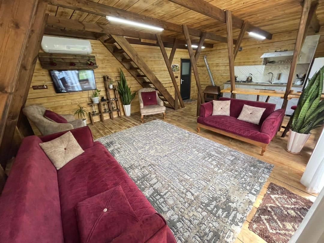 یک خوابه سوئیسی چوبی جکوزی دار آلفا