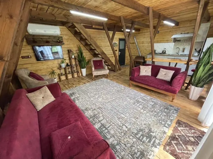 کلبه یک خوابه سوئیسی چوبی جکوزی دار آلفا