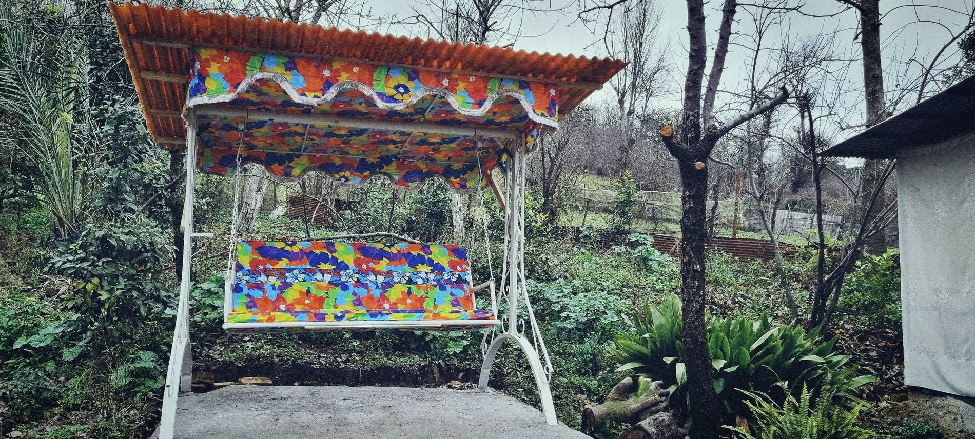 یک خوابه جنگلی کوکو تی تی