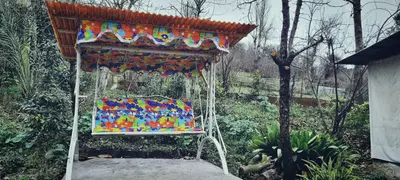 سوئیت یک خوابه جنگلی کوکو تی تی