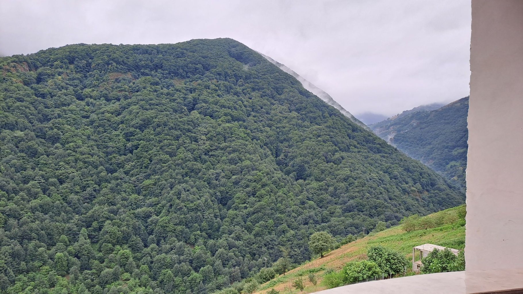   ویلای سه خوابه جنگلی شرق پور