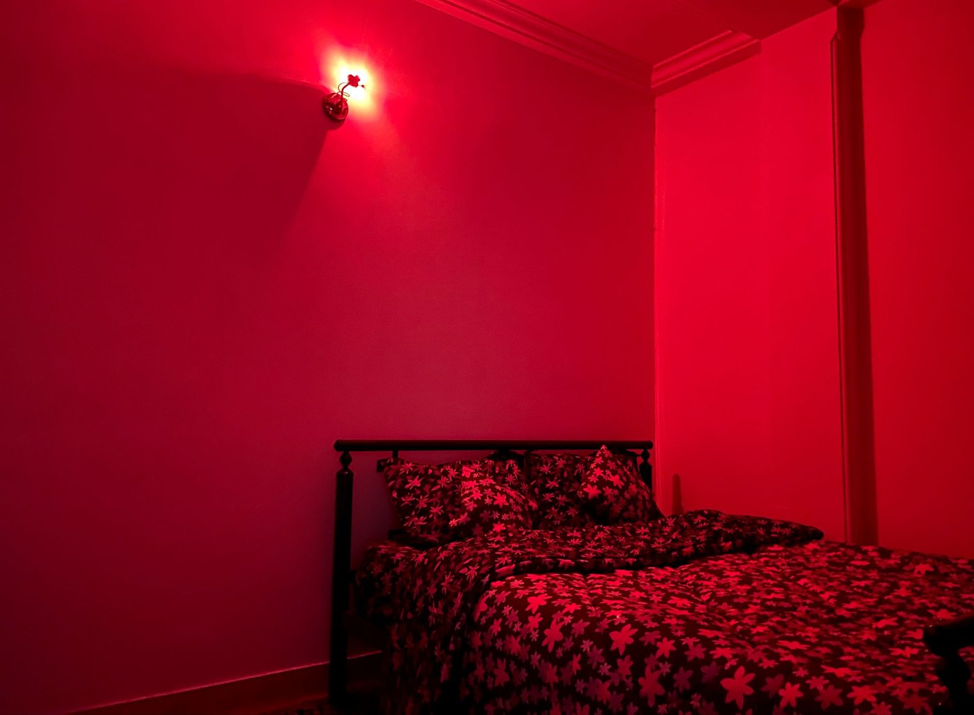 دوخوابه جنگلی سرولاتی