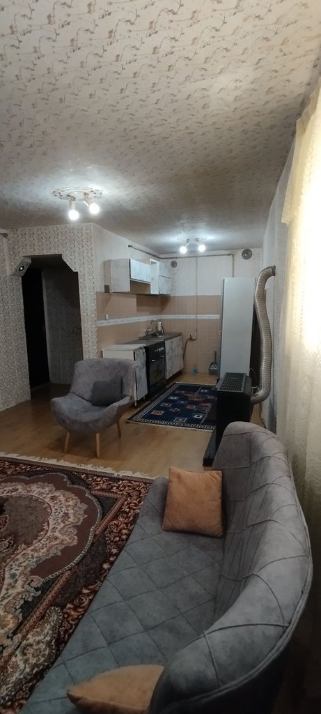 یک خوابه دلفین