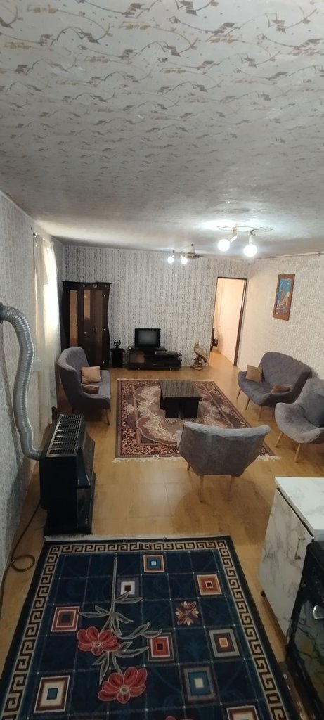 یک خوابه دلفین