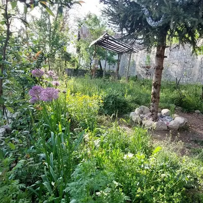 ویلا دوخوابه اِستوگا