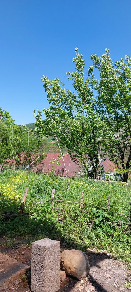 دوخوابه اِستوگا