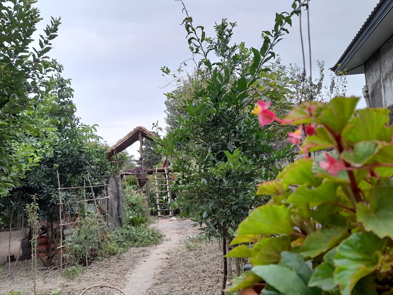 دوخوابه جنگلی دهکده سبز 1