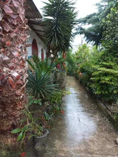 ویلا یک خوابه پناه 2