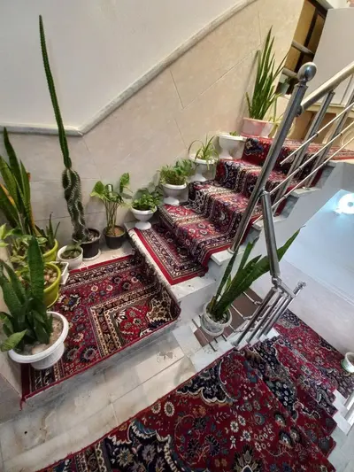 سوئیت فلت ملیسا 1