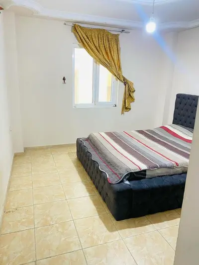 سوئیت یک خواب نخل زرین 1