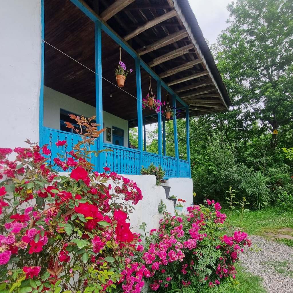 کلبه دوخوابه پرچین طلایی