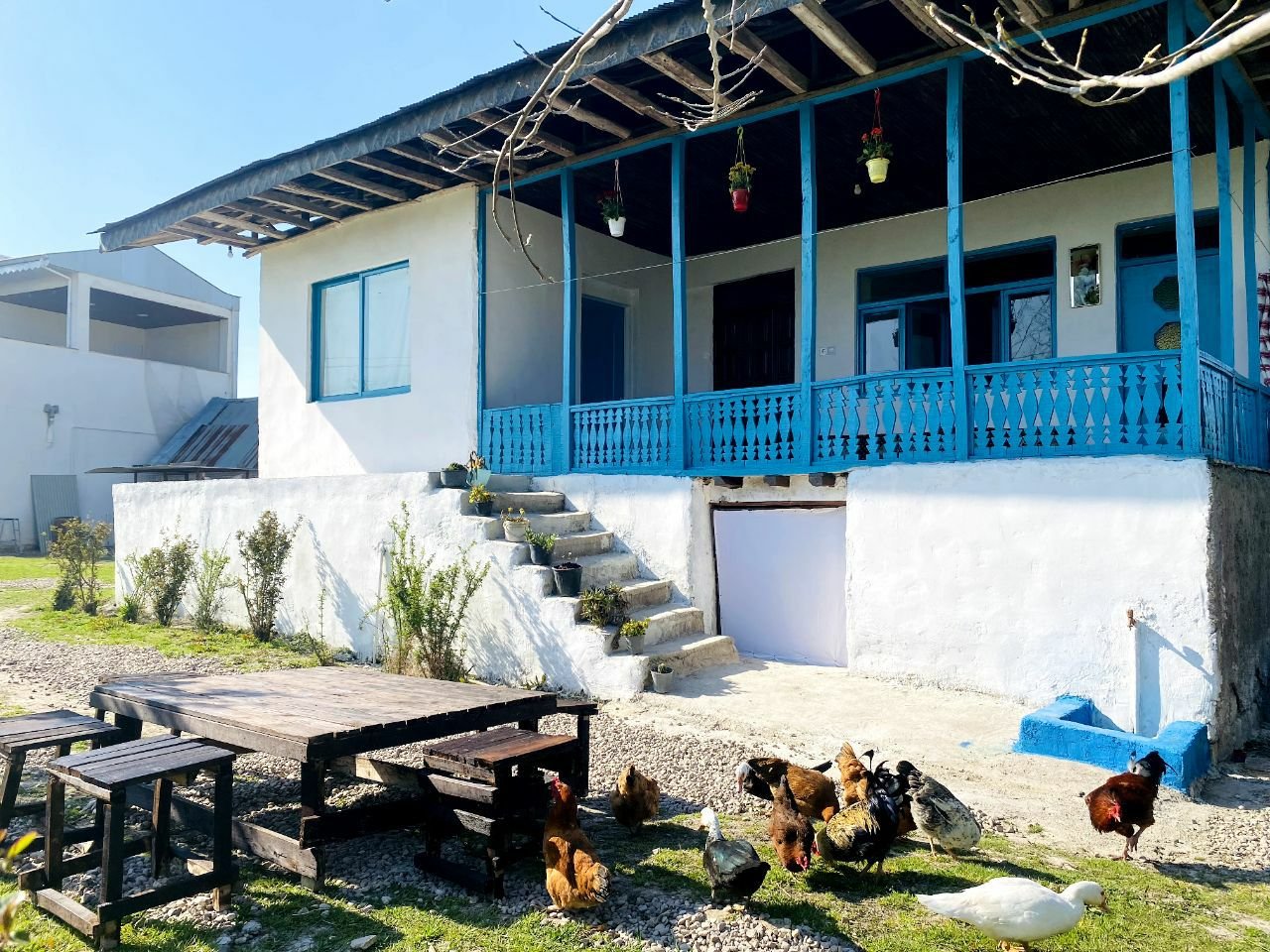 دوخوابه پرچین طلایی