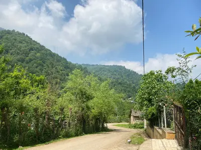 ویلا دوخوابه جنگلی گلستان