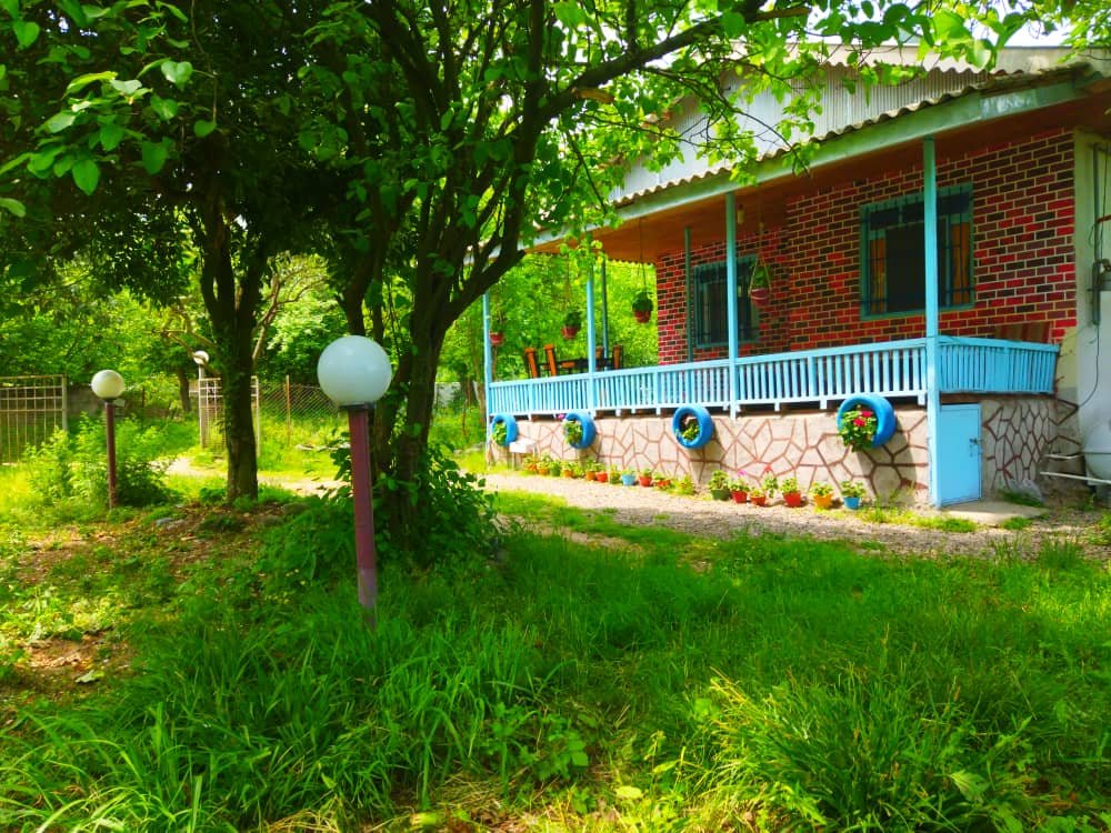 یک خوابه آواز پرنده