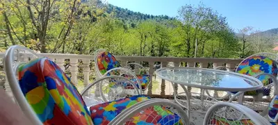 ویلا سه خوابه جنگلی قلعه رودخان