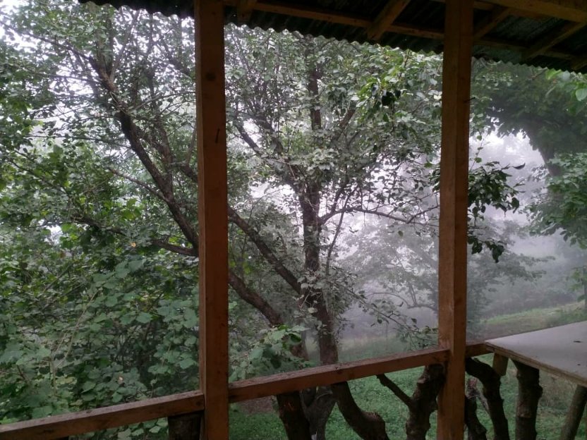 کلبه فلت جنگلی فیروزه ای