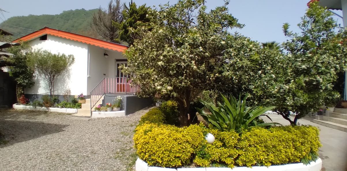 سوئیت یک خوابه هنر