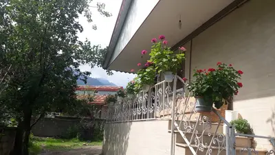 ویلا دوخوابه جنگلی قلعه رودخان 1