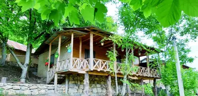 بومگردی سرای اساس - واحد 2