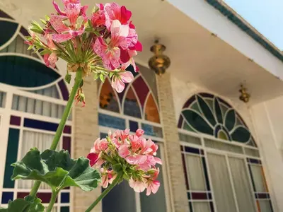 بومگردی سرای ملک - واحد محراب