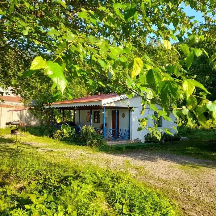 کلبه یک خوابه سبزینه 1