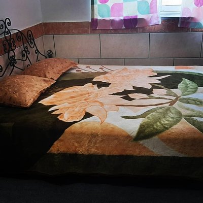 مسافرخانه فلت کاکتوس